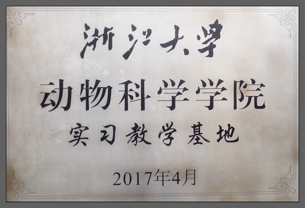 公司榮譽